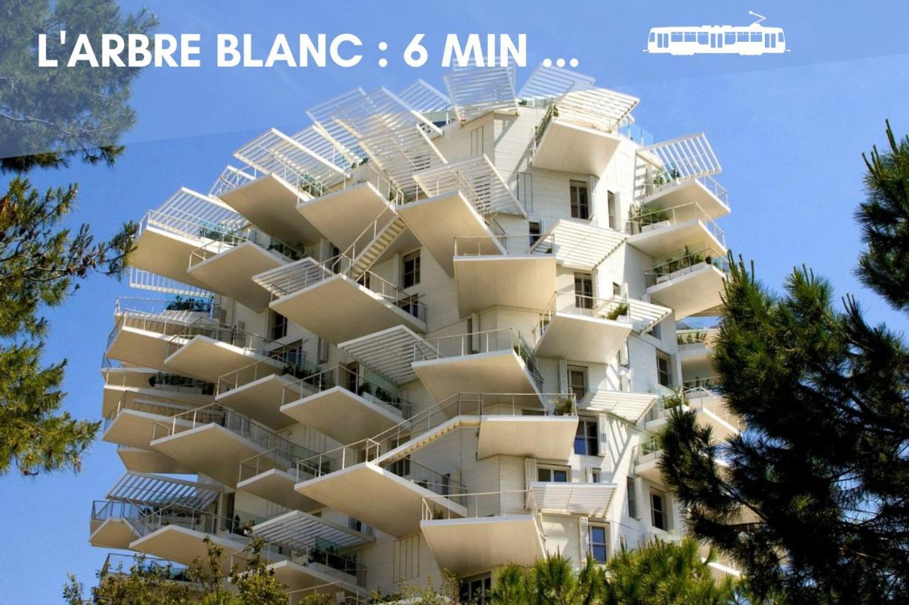 Nouveau - Jungle Montpeul - Clim - Wifi Fibre - Netflix - 5' Du Centre Et Gare - Parking - Loggia - 15' Des Plages Μονπελιέ Εξωτερικό φωτογραφία