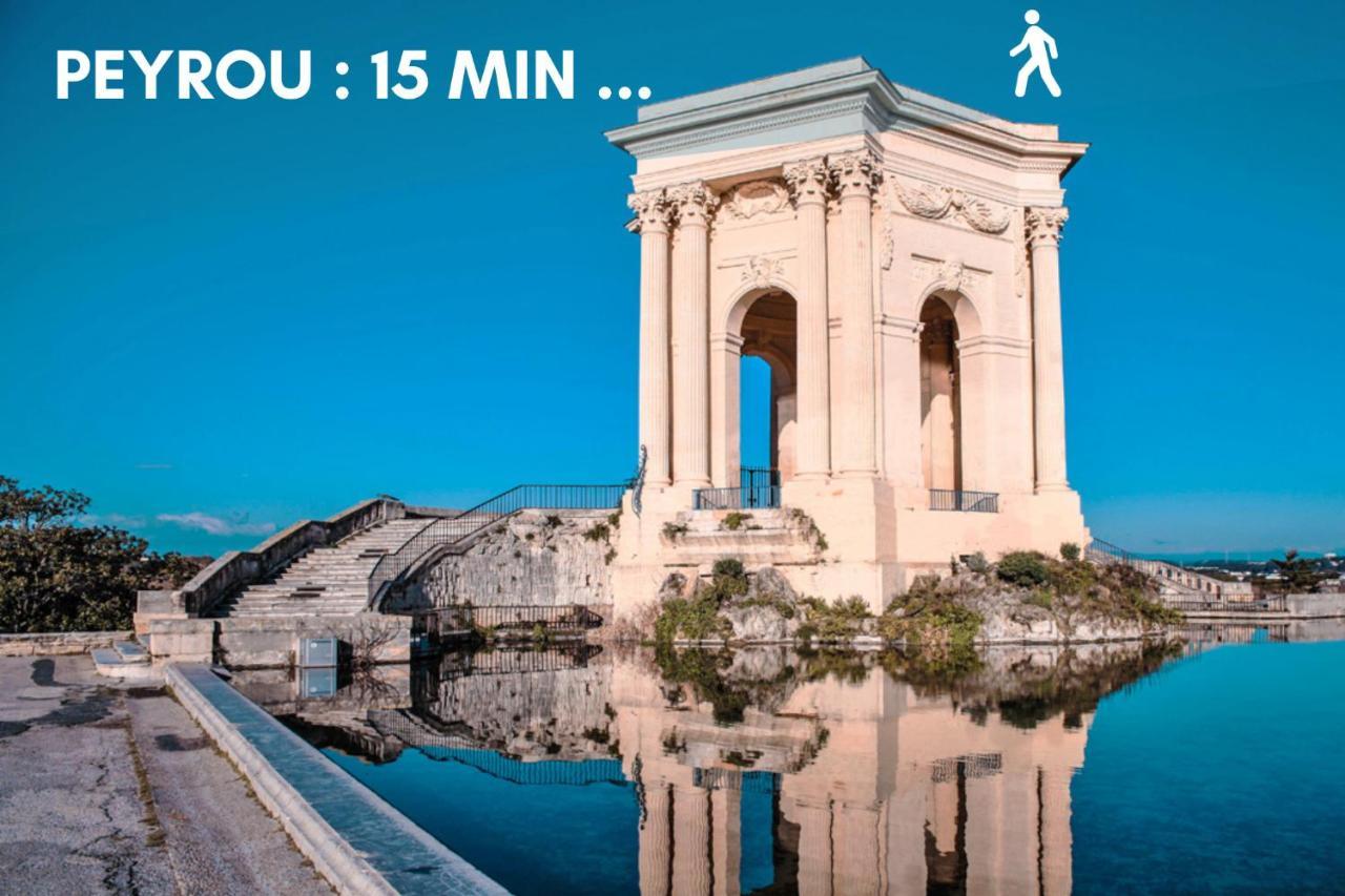 Nouveau - Jungle Montpeul - Clim - Wifi Fibre - Netflix - 5' Du Centre Et Gare - Parking - Loggia - 15' Des Plages Μονπελιέ Εξωτερικό φωτογραφία